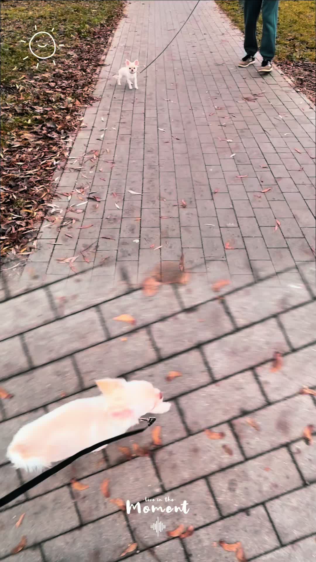 @mango_k🔞🐍