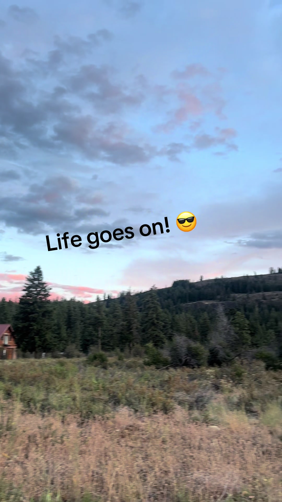 @LifeinthePNW