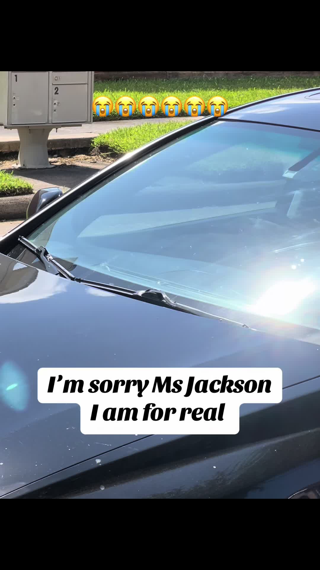 @Tickbone