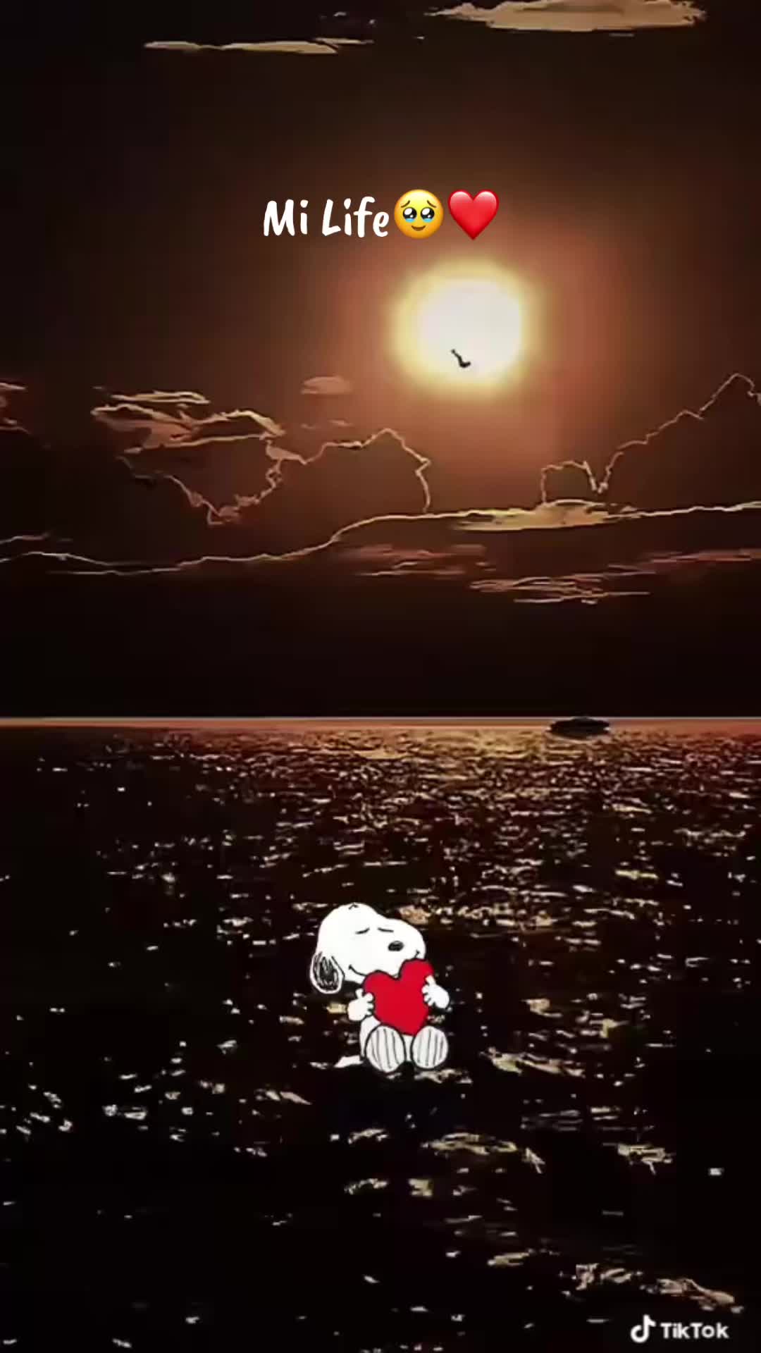 @the; 🫠angel,@ 😻