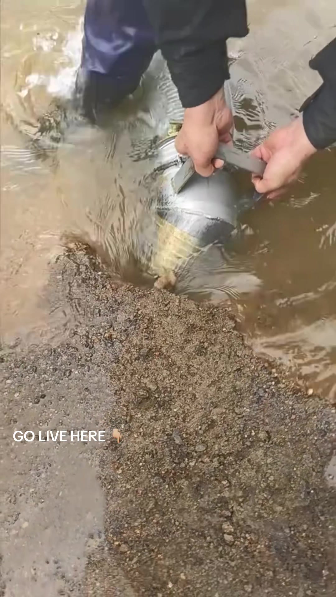 @Gold Prospecting