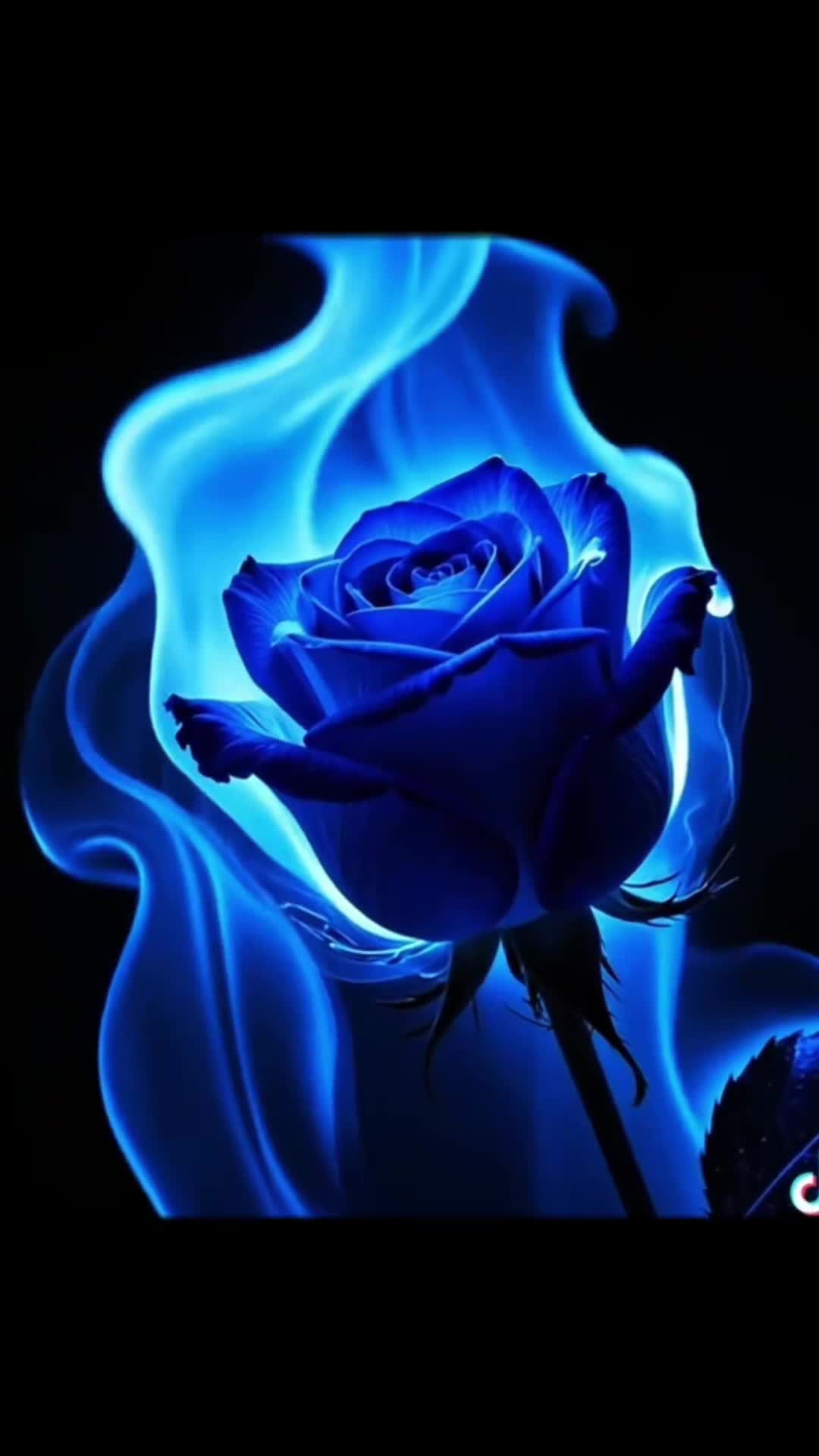 @CONQUEROR13