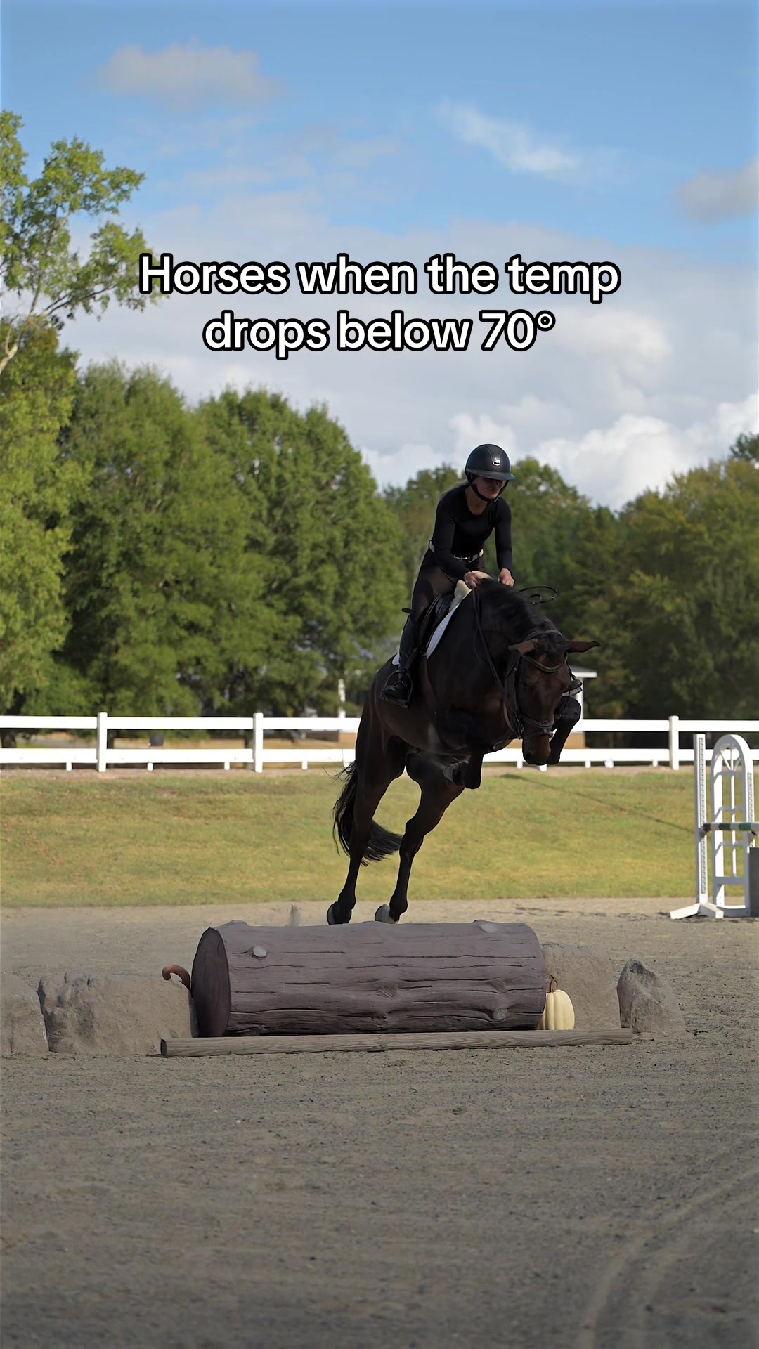 @Free Ride Equestrian