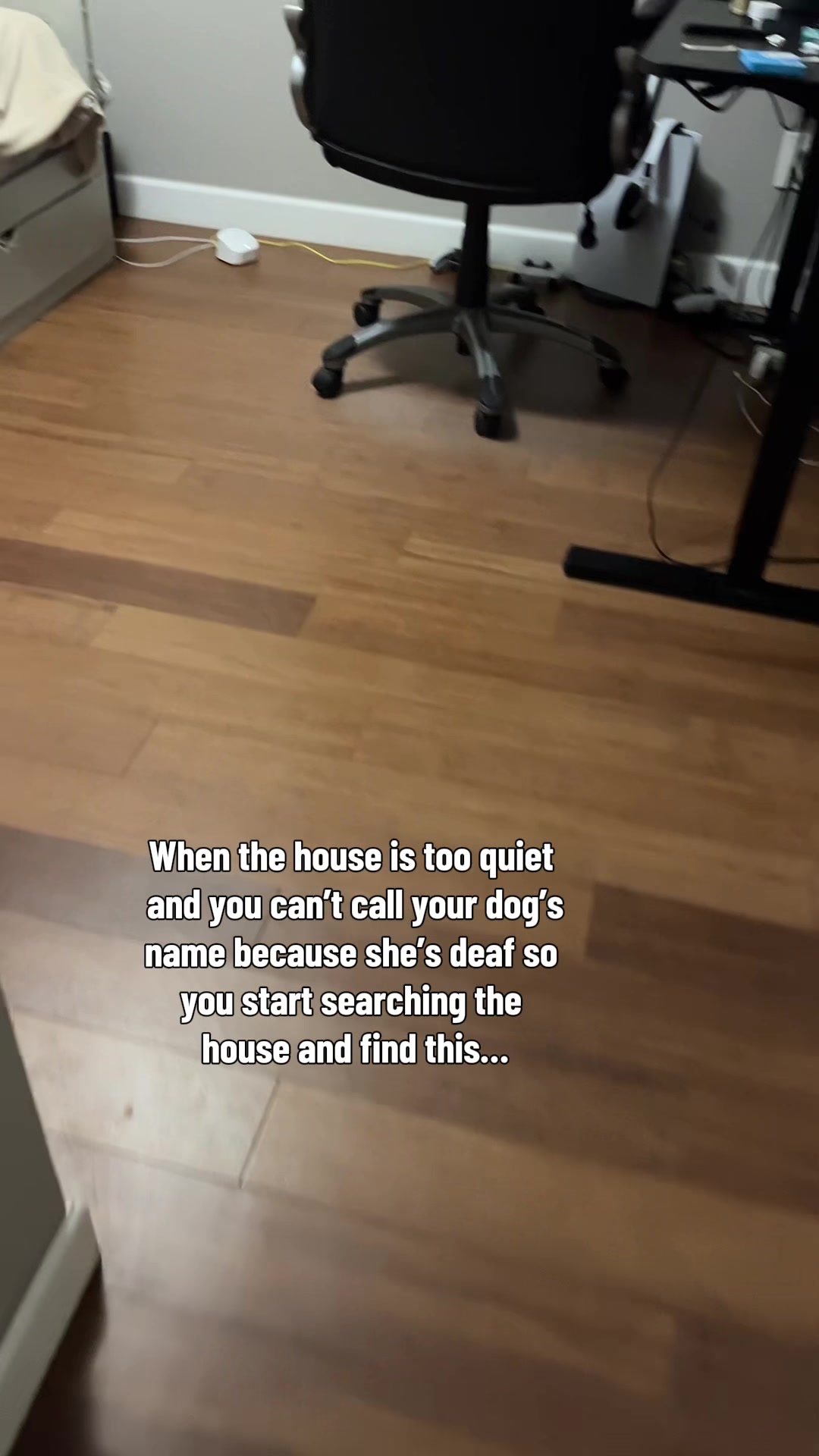 @lifewithstella
