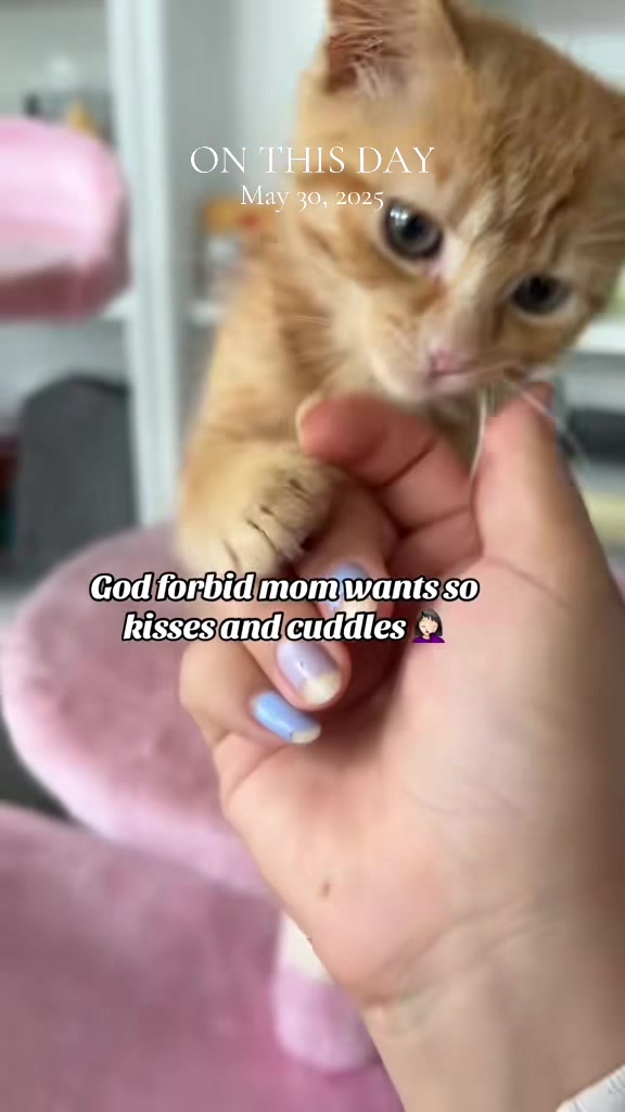 @Roxiemiauwmiauw