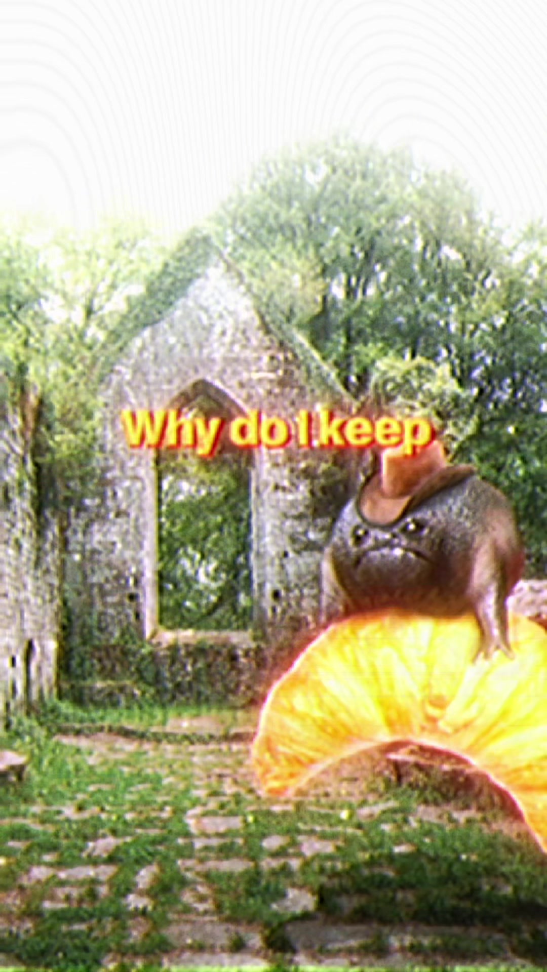 @Holy Frog Father