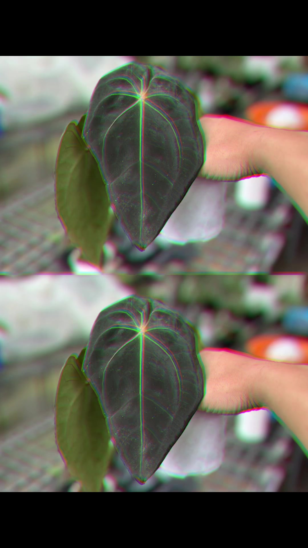 @KeepcầmKây🥦