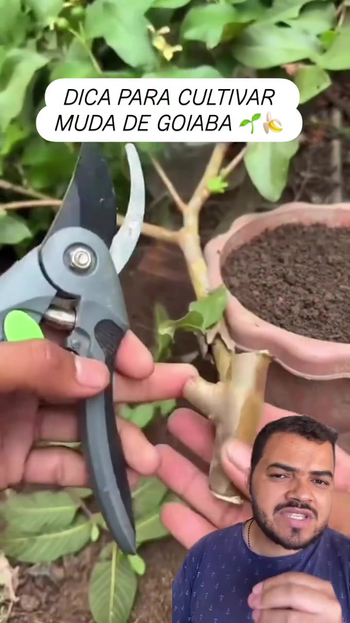 @Obrasilense