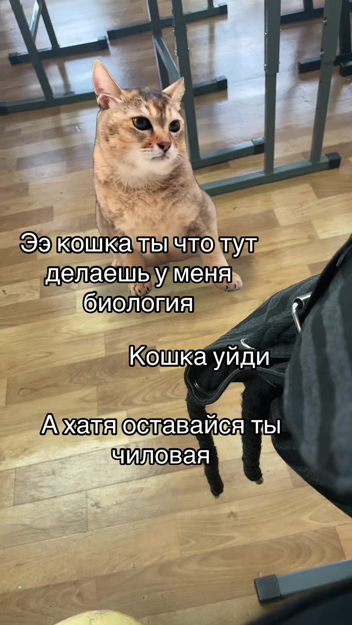 @coolguurl0