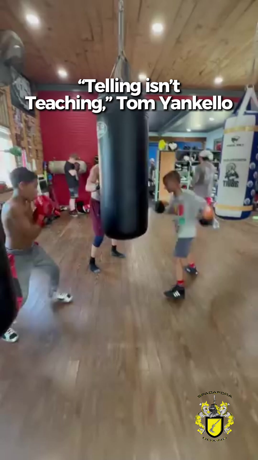 @Spadafora Boxing