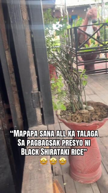 @Tito Onifff
