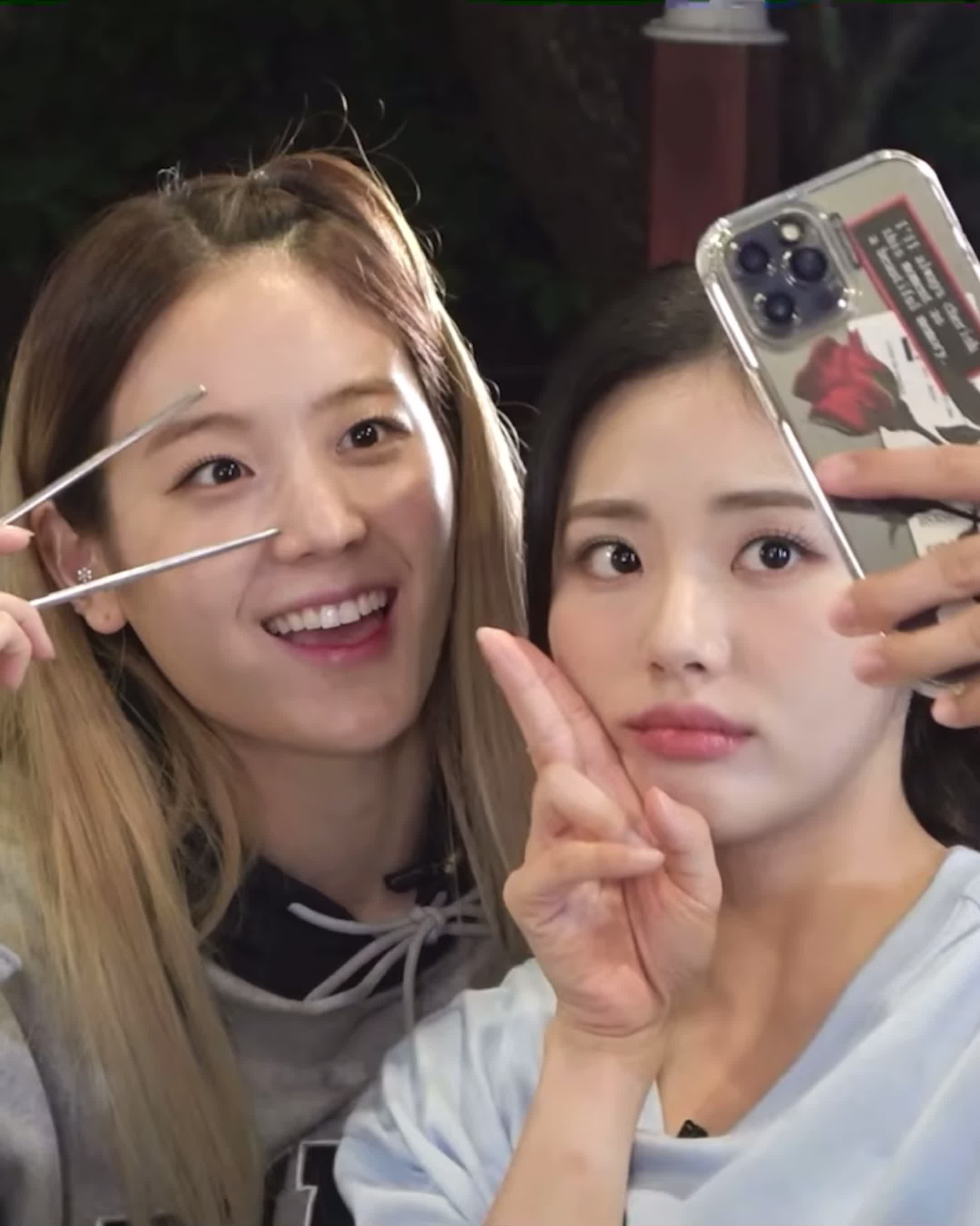 @sicpuppy