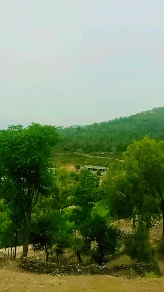 @قیدی نمبر 804✌️💪