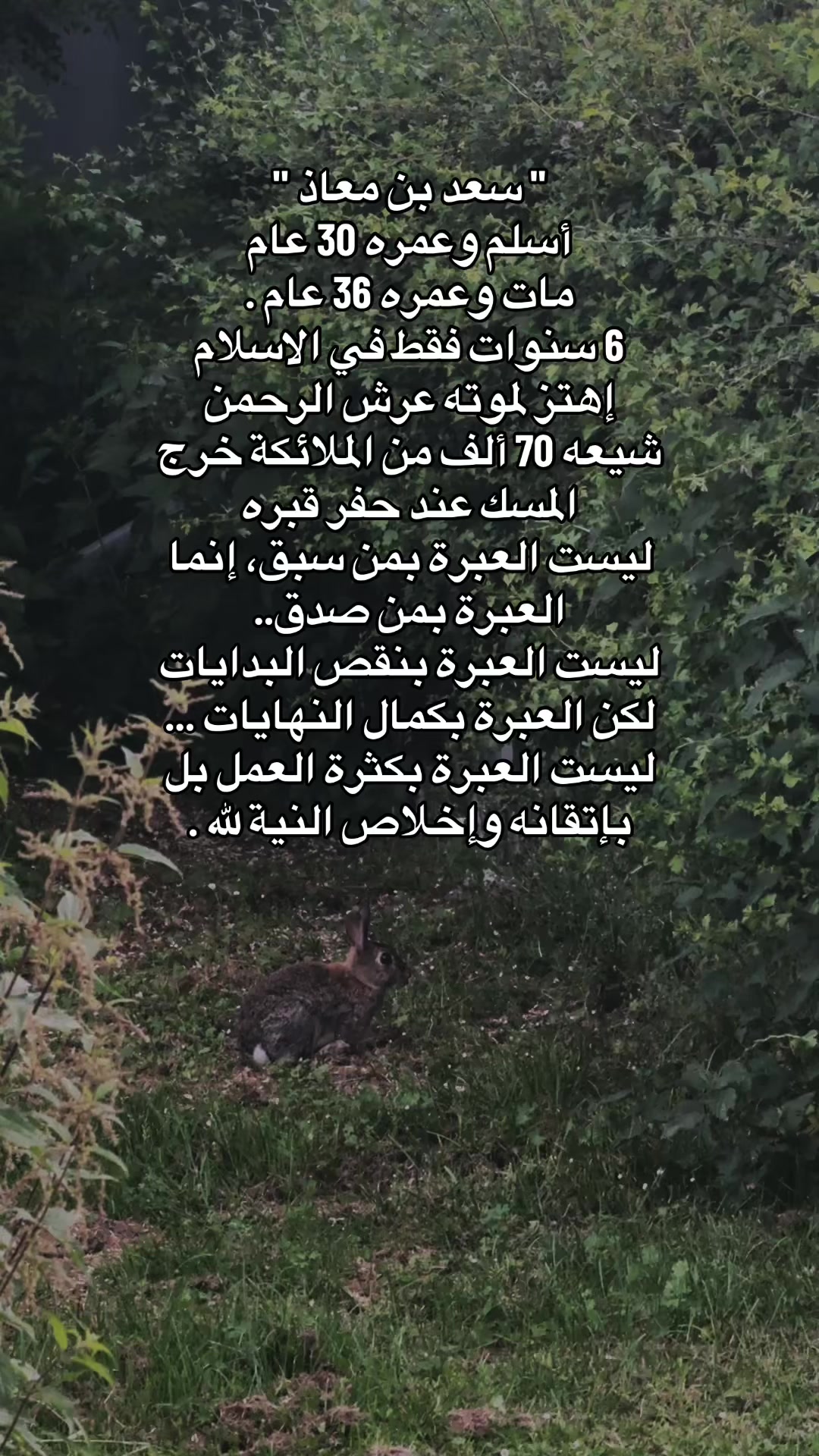 @Khaled””