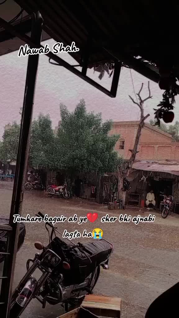@Seyda Ayat zehra