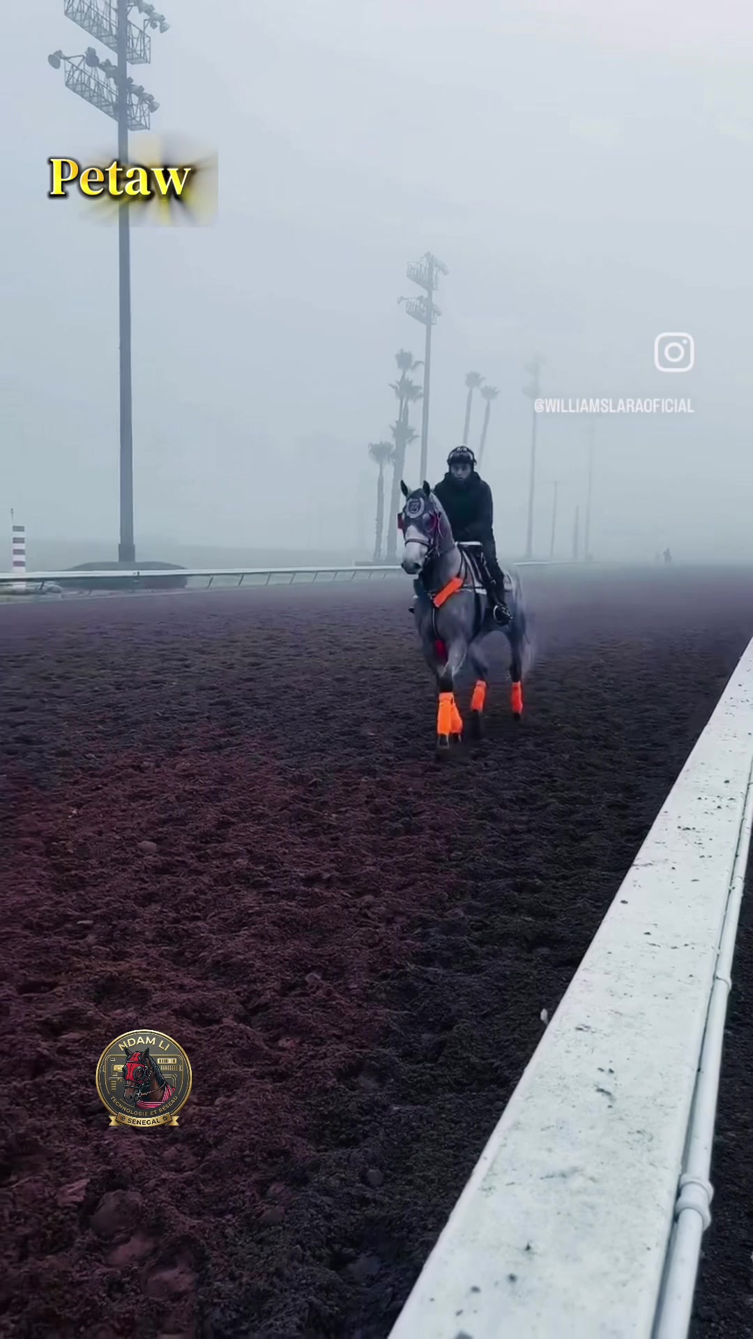@Dev eriksen4453 ✪