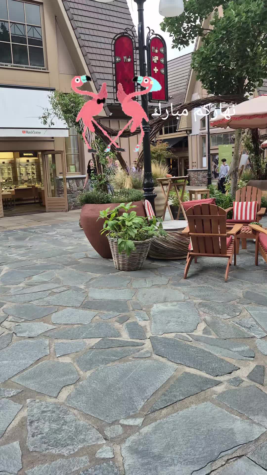 @chakalita