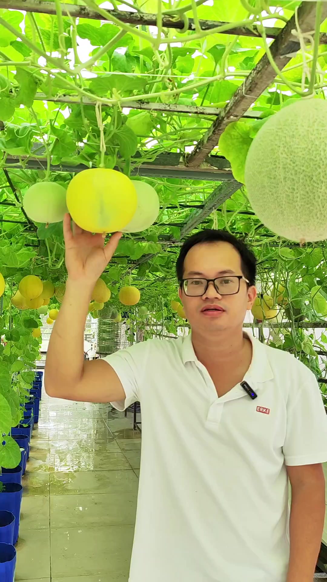 @Dược sĩ cỏ