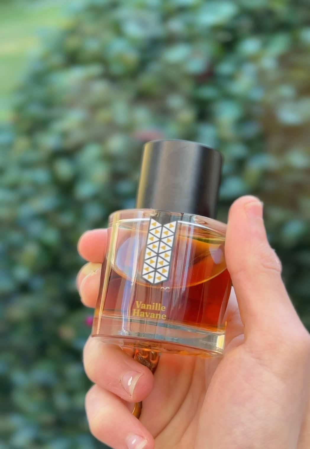 @Pure Parfums