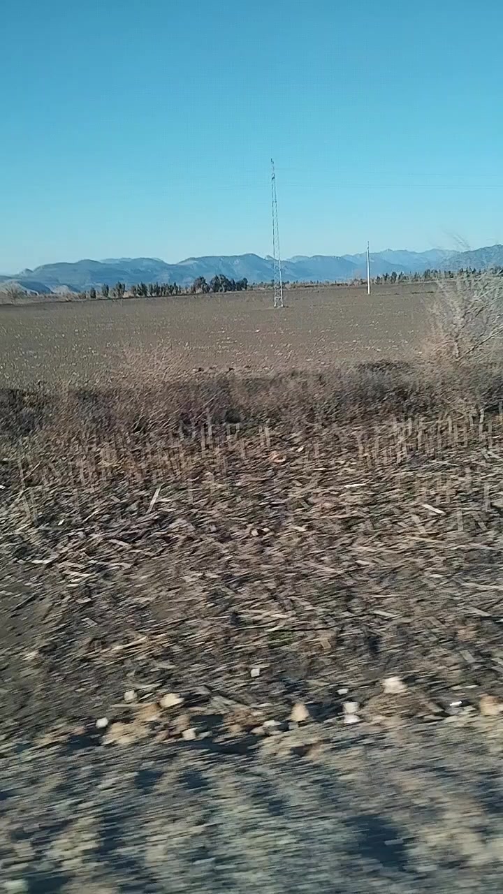 @mavi d&uuml;şler