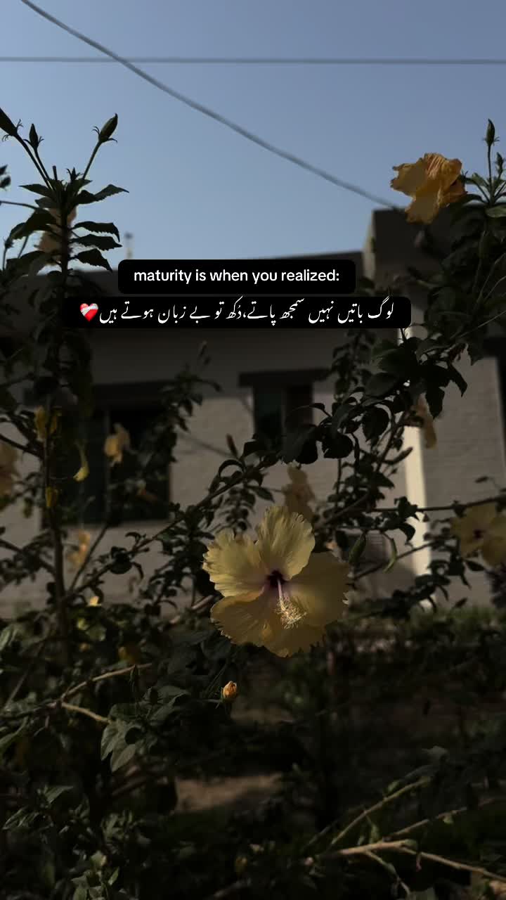 @🌸~
