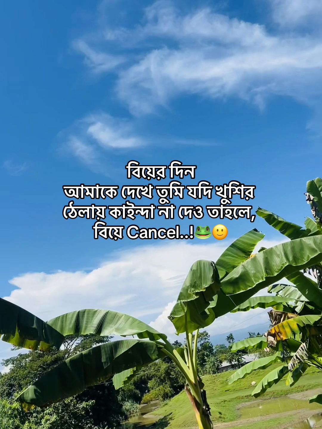 @টিক-টিকি