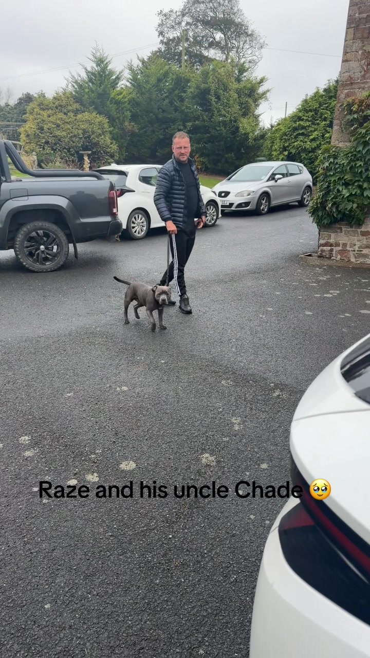 @Razor&Selb🐶🐾