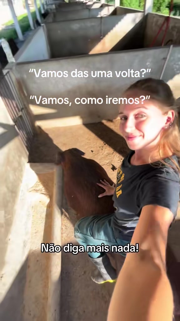 @Verônica_heringer