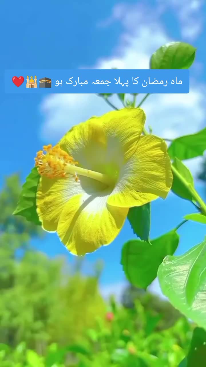 @꧁❣️qureshi.بھائی❣️꧂