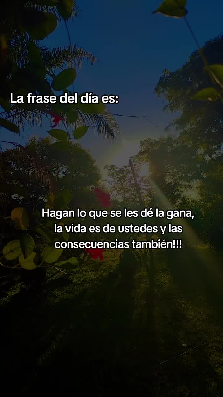 @juanabenitez163