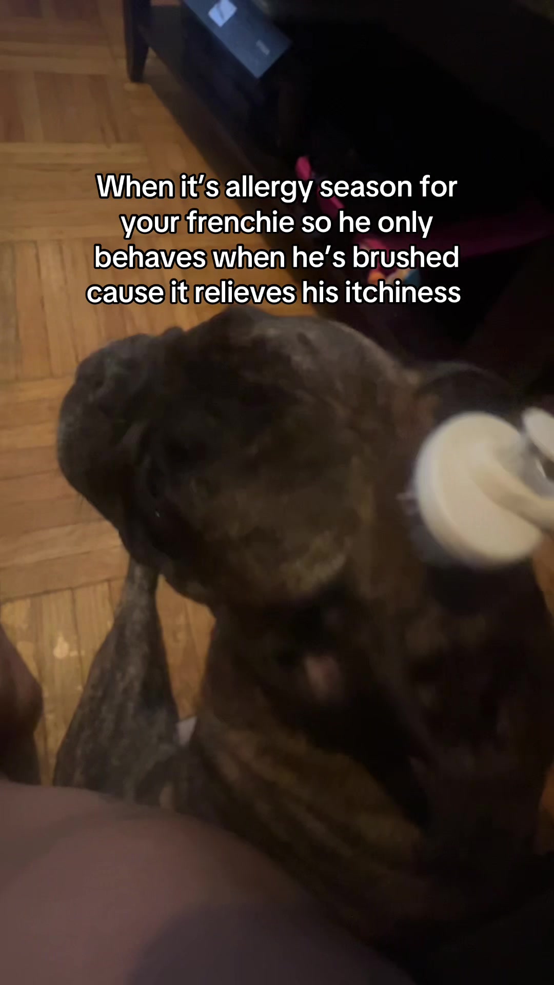 @genesisdreamcast