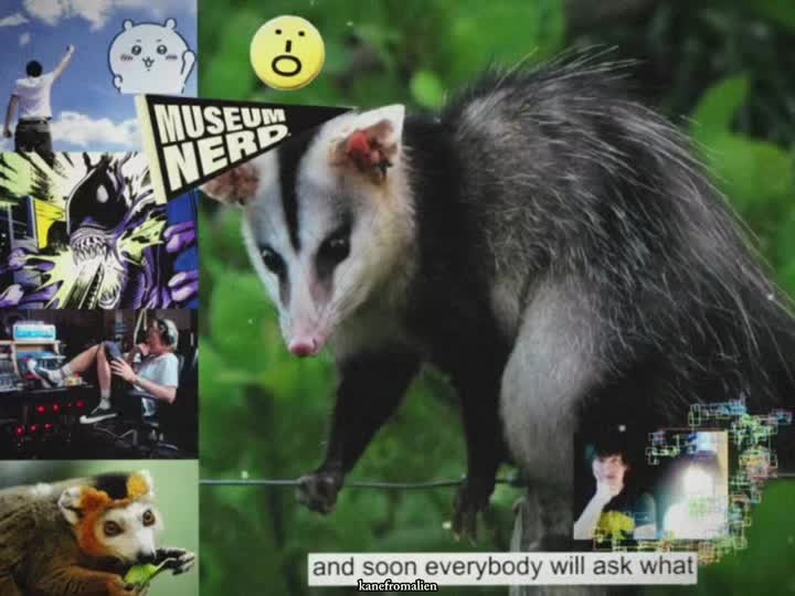 @MJ
