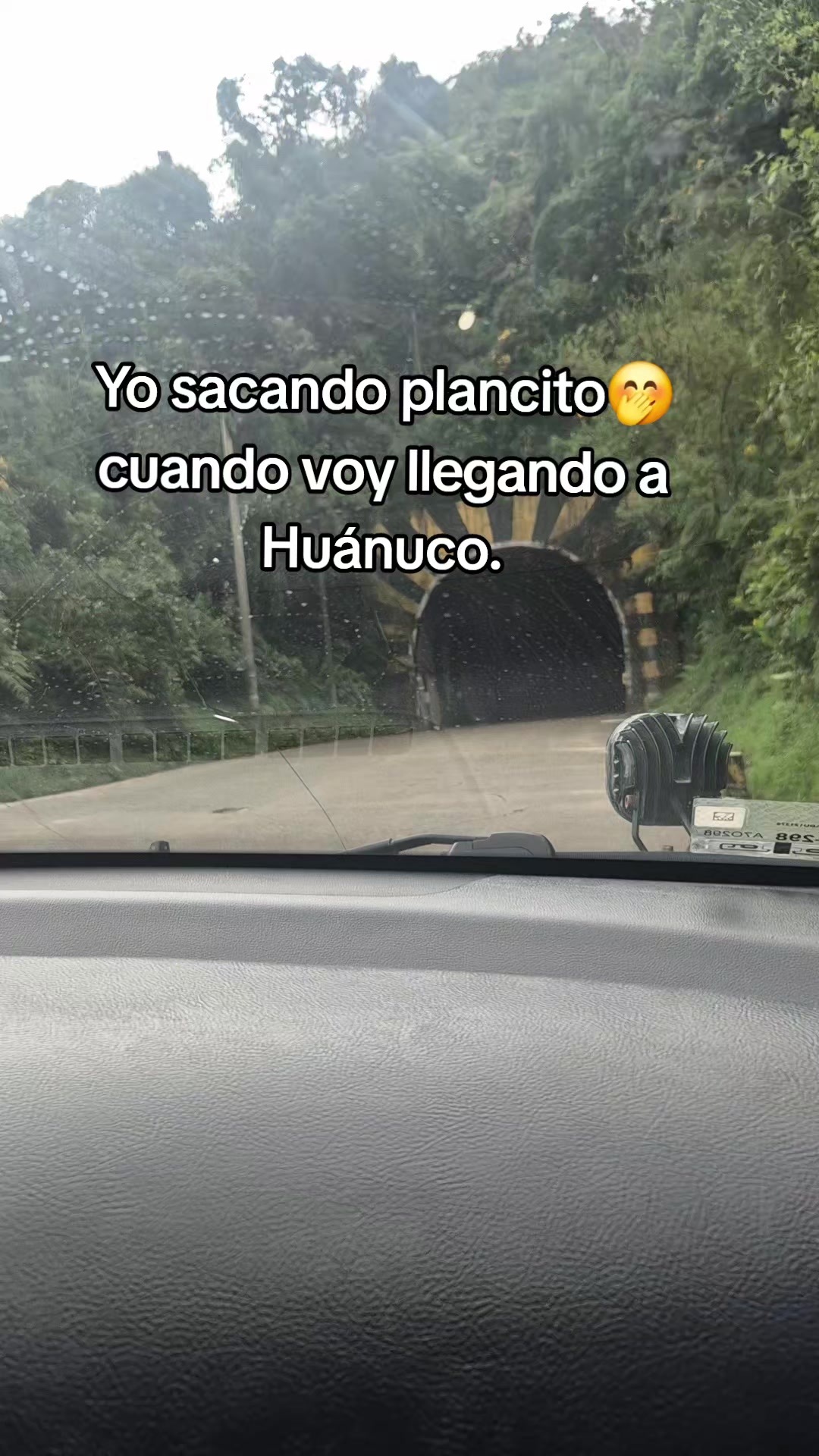 @Andrea🐦🔥