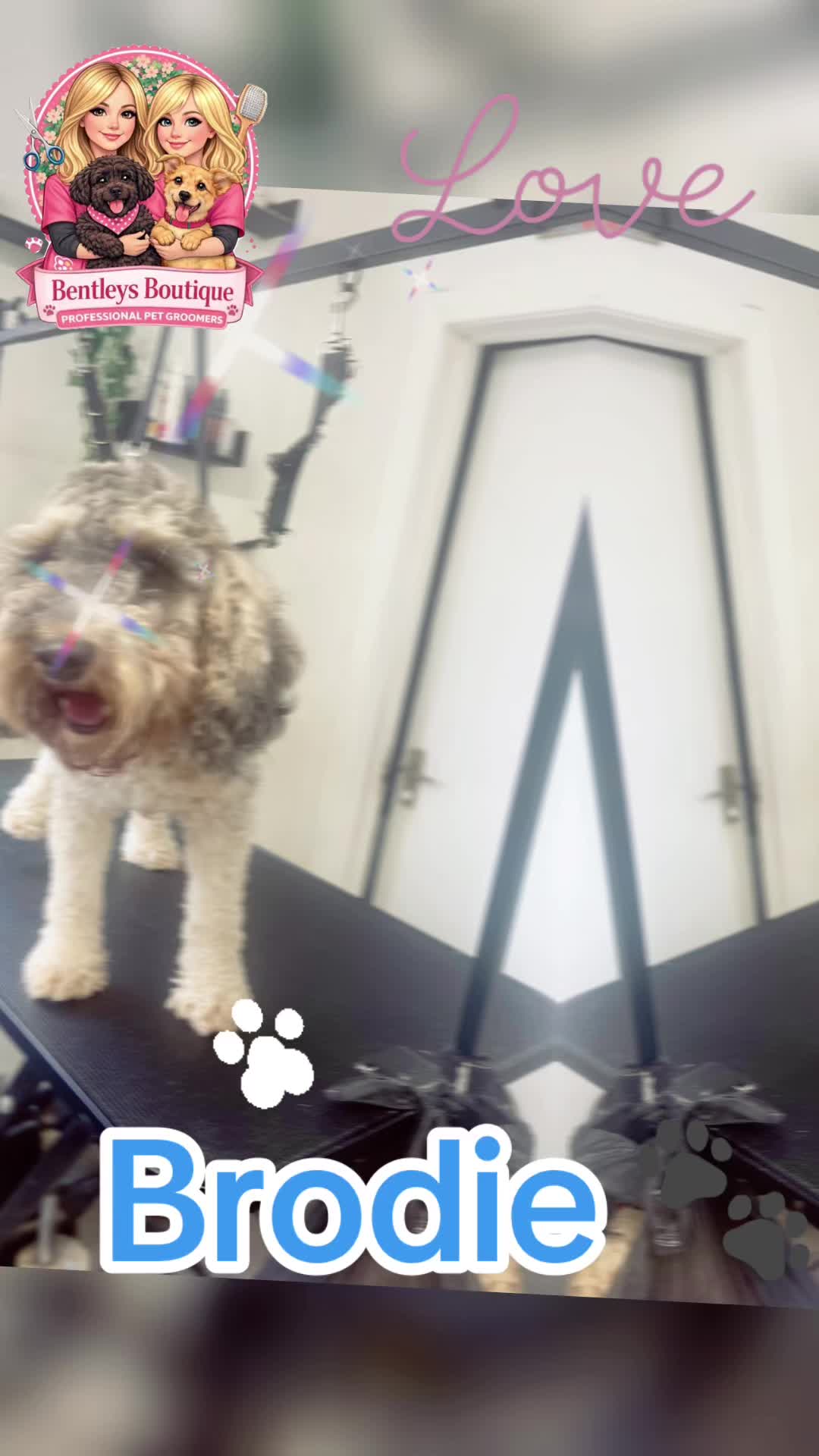 @Bentleys Boutique Pet Groomers