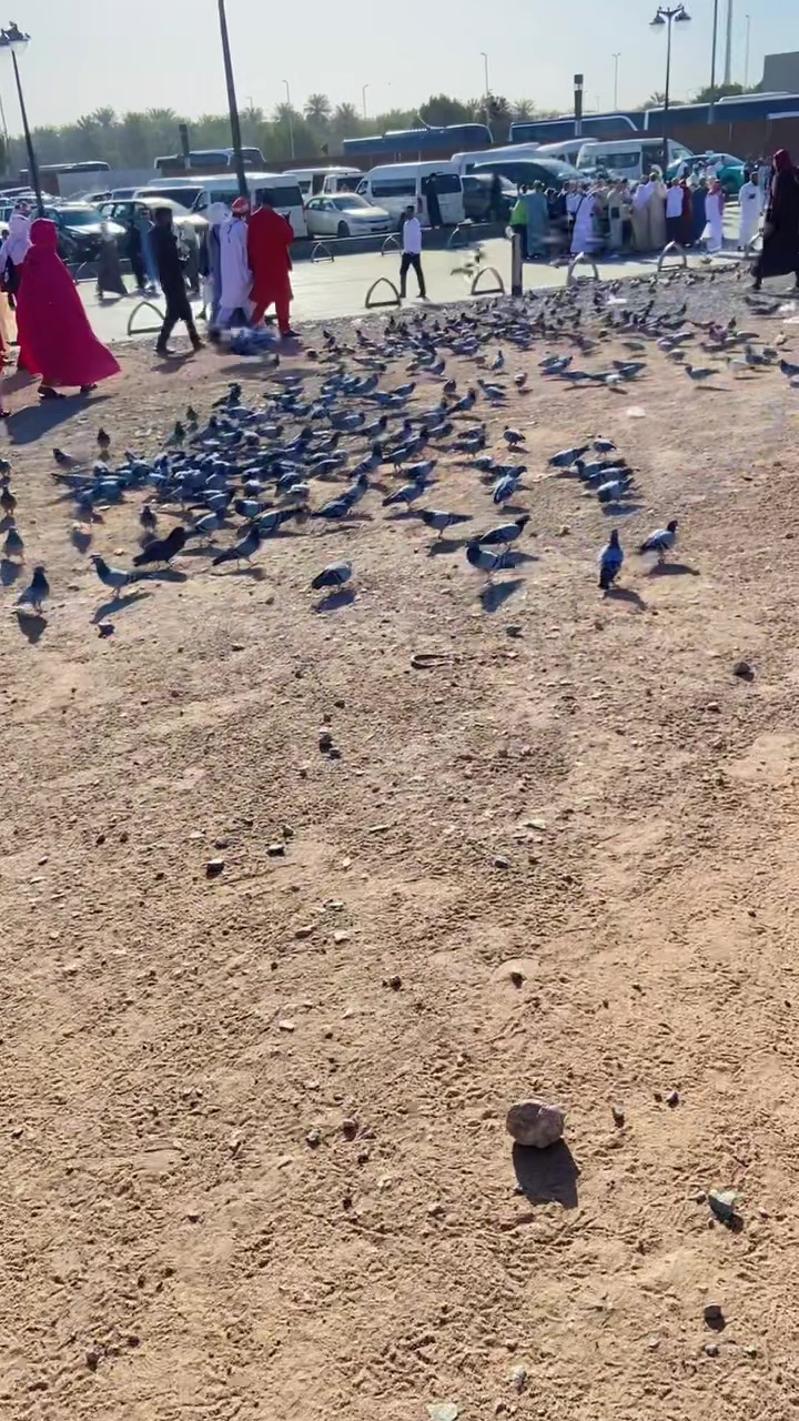 @☠️Abdullah Malik007 ☠️