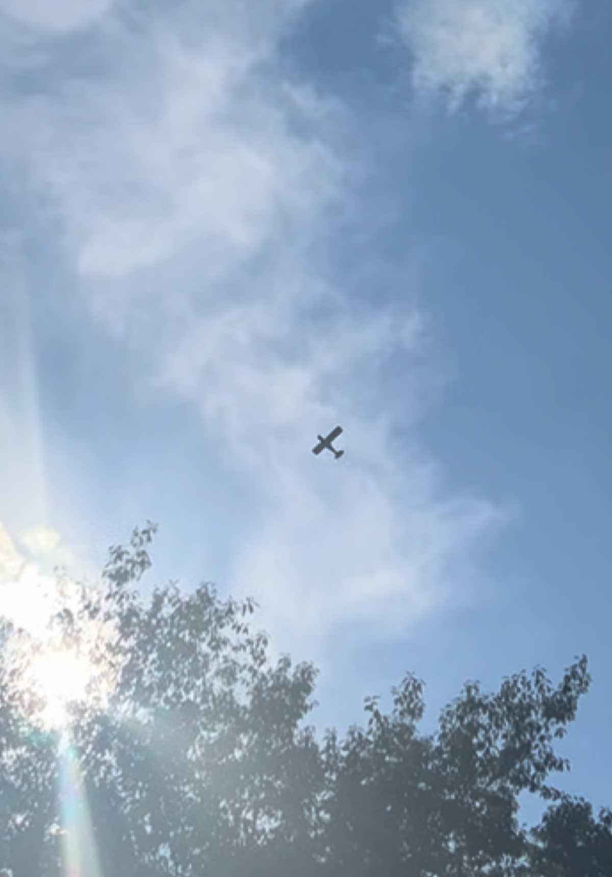 @Allie&rsquo;s Airplanes