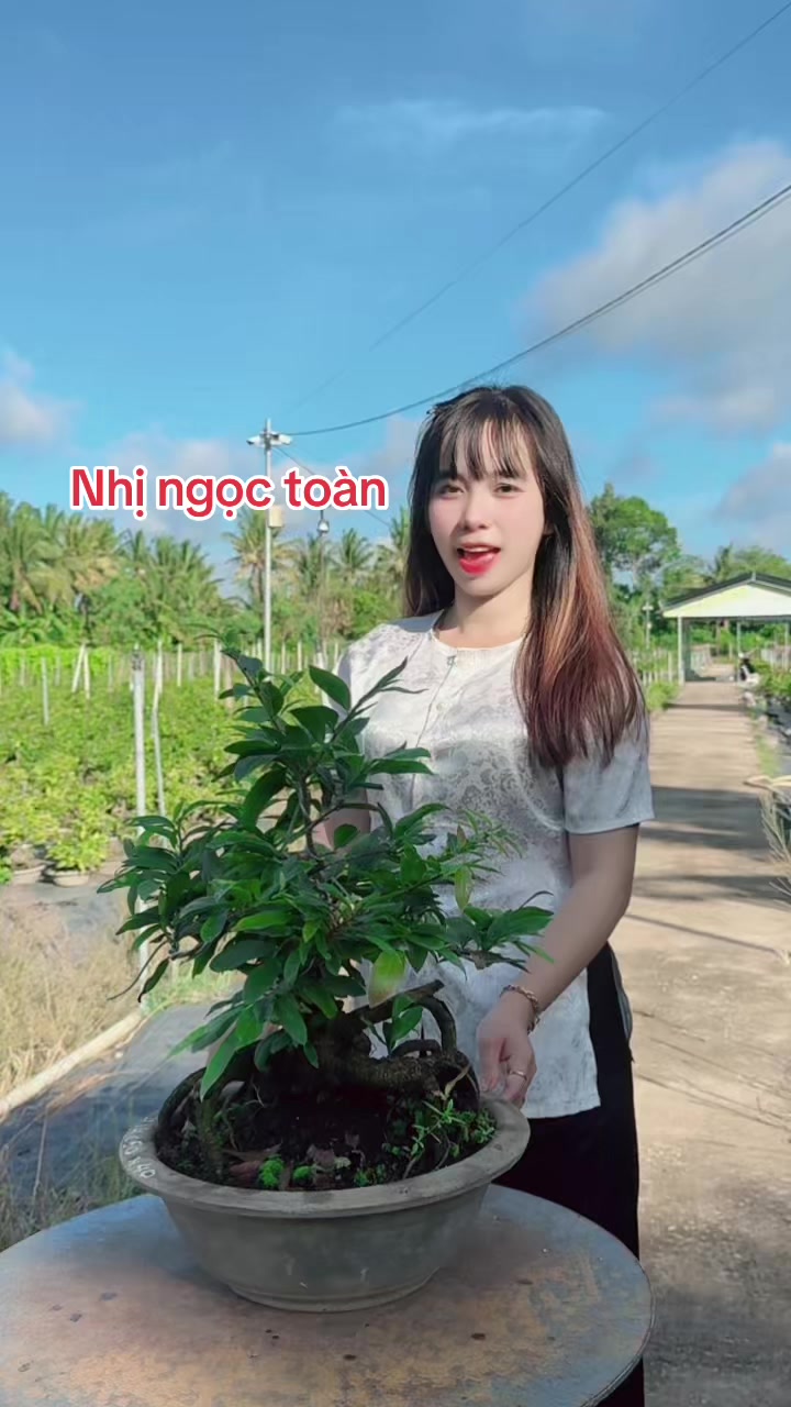 @Chichchoebong79