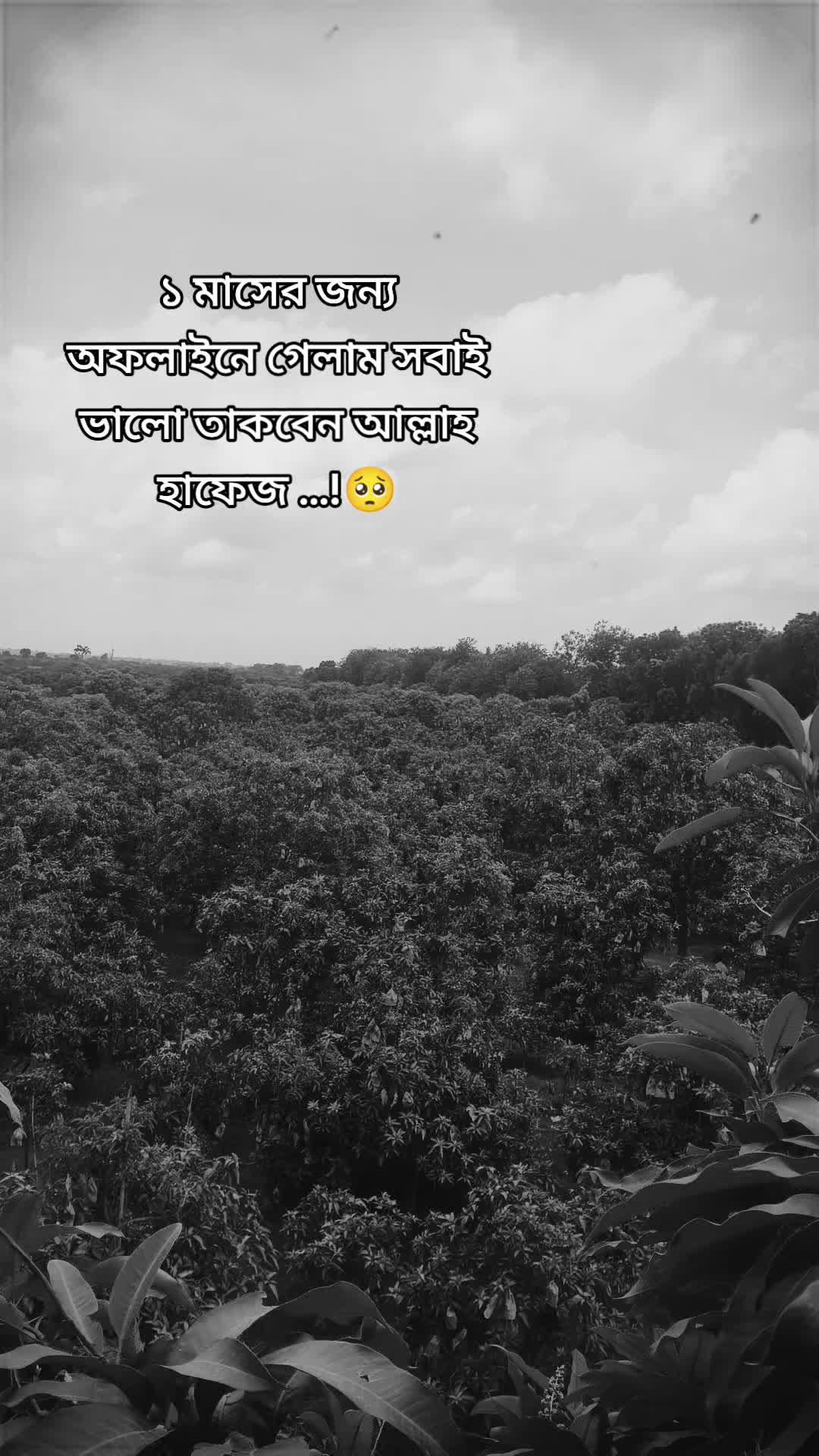 @Md Mostakim khan