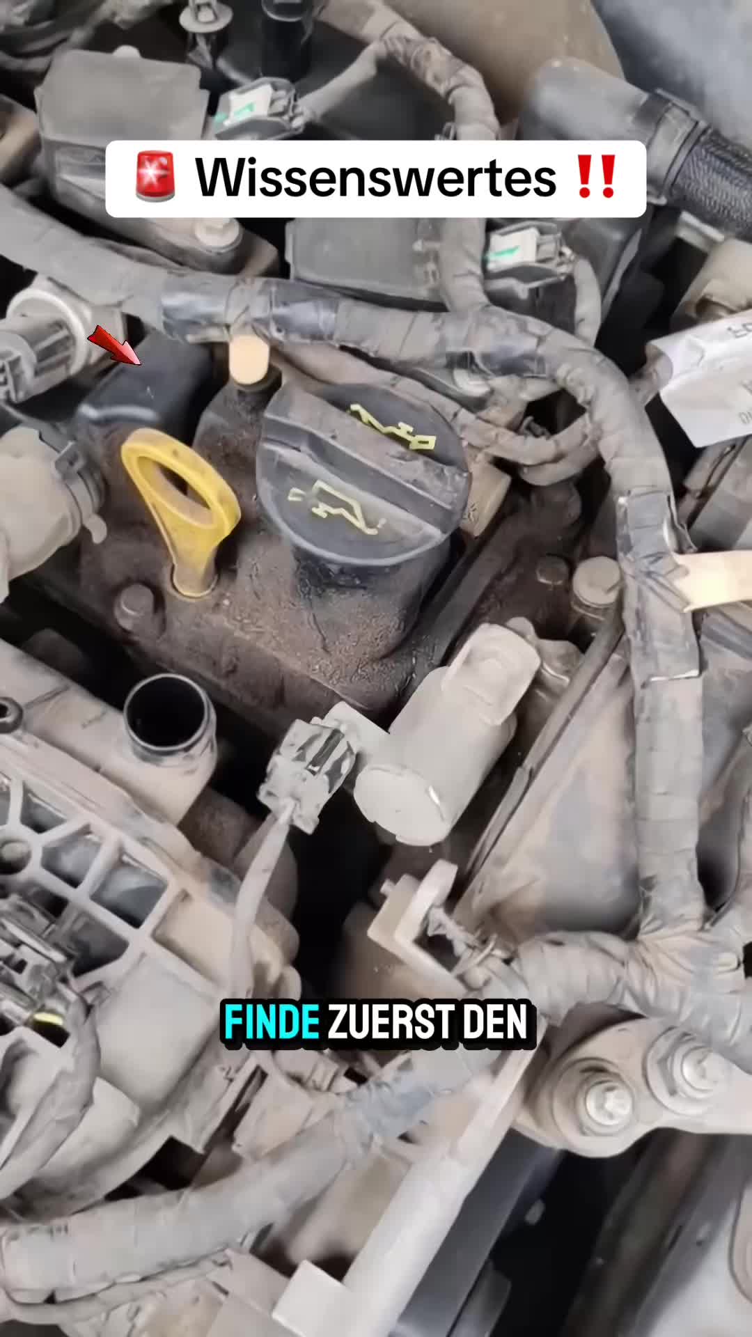 @Autotipps_1
