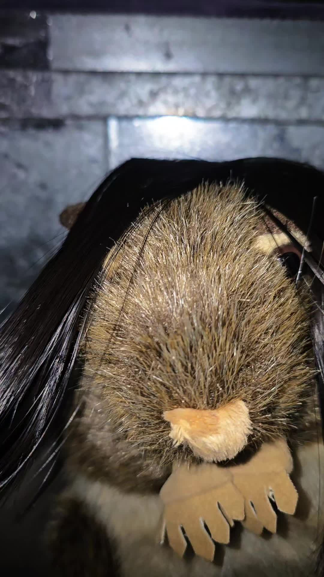 @RATATA