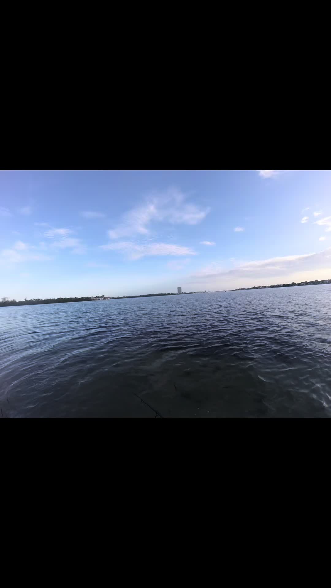 @Gotitfishing