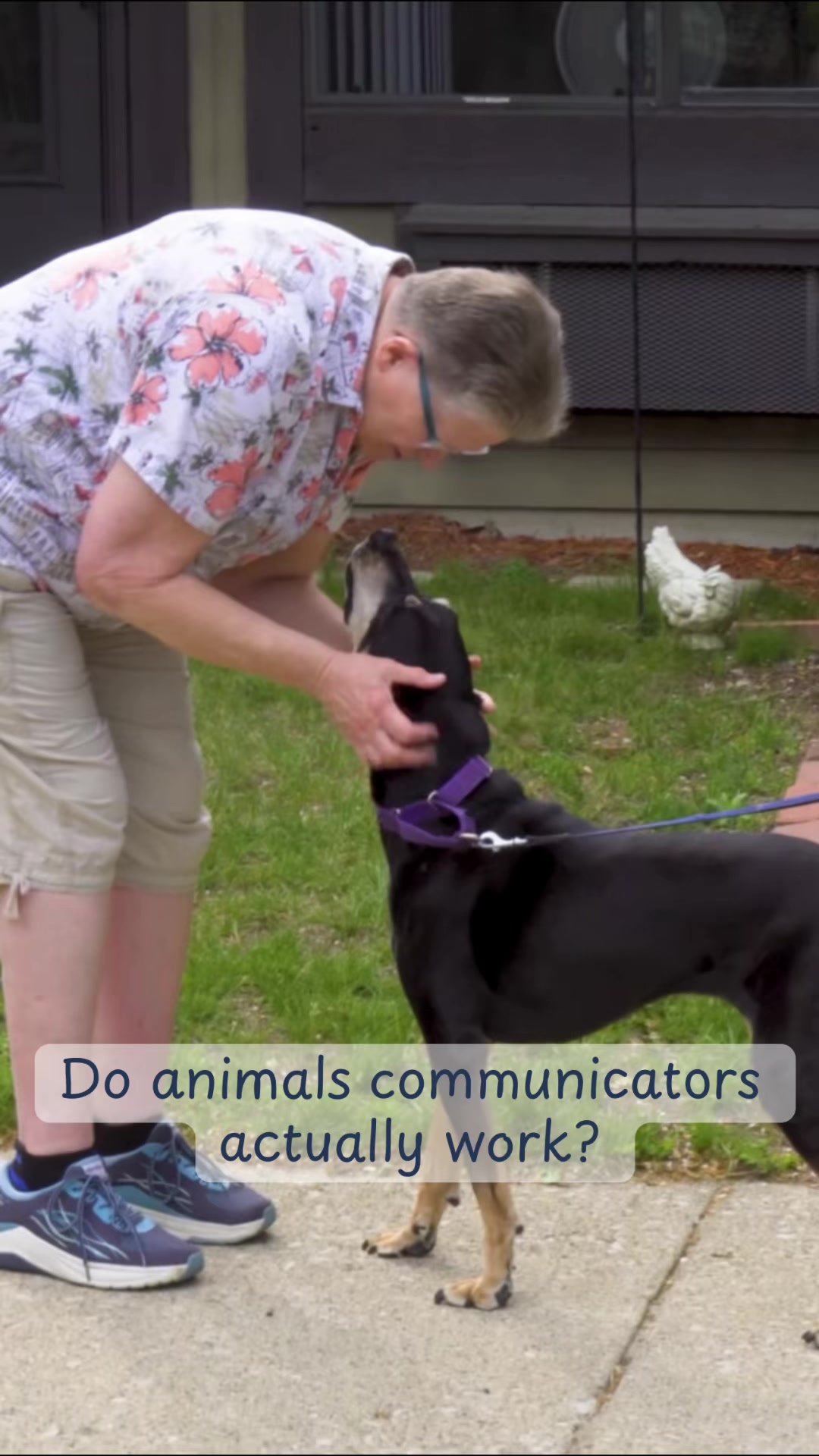 @Petworks.com