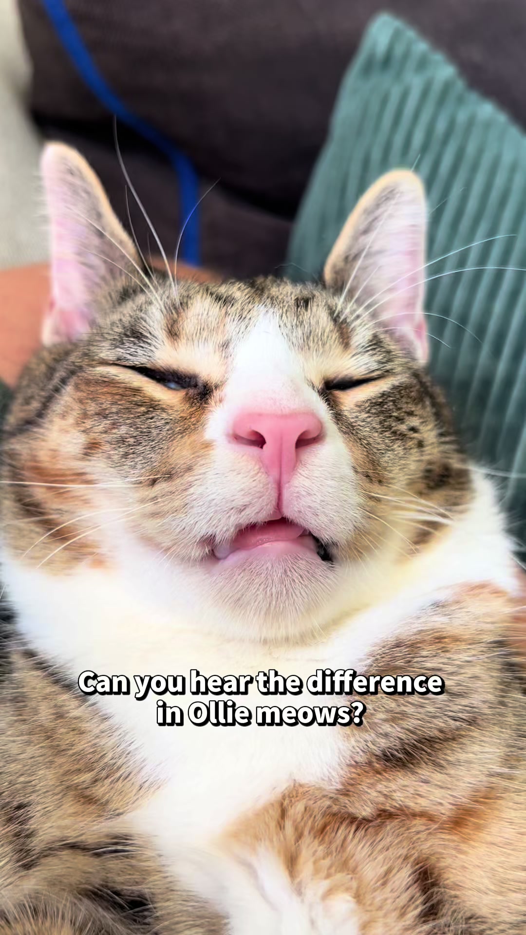 @Ollie Wobbles