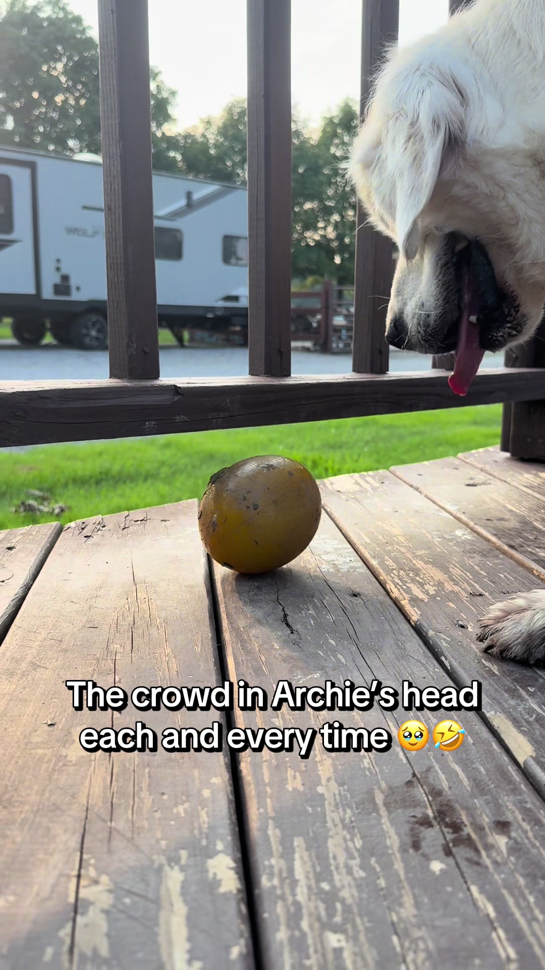 @archie.and.the.egg