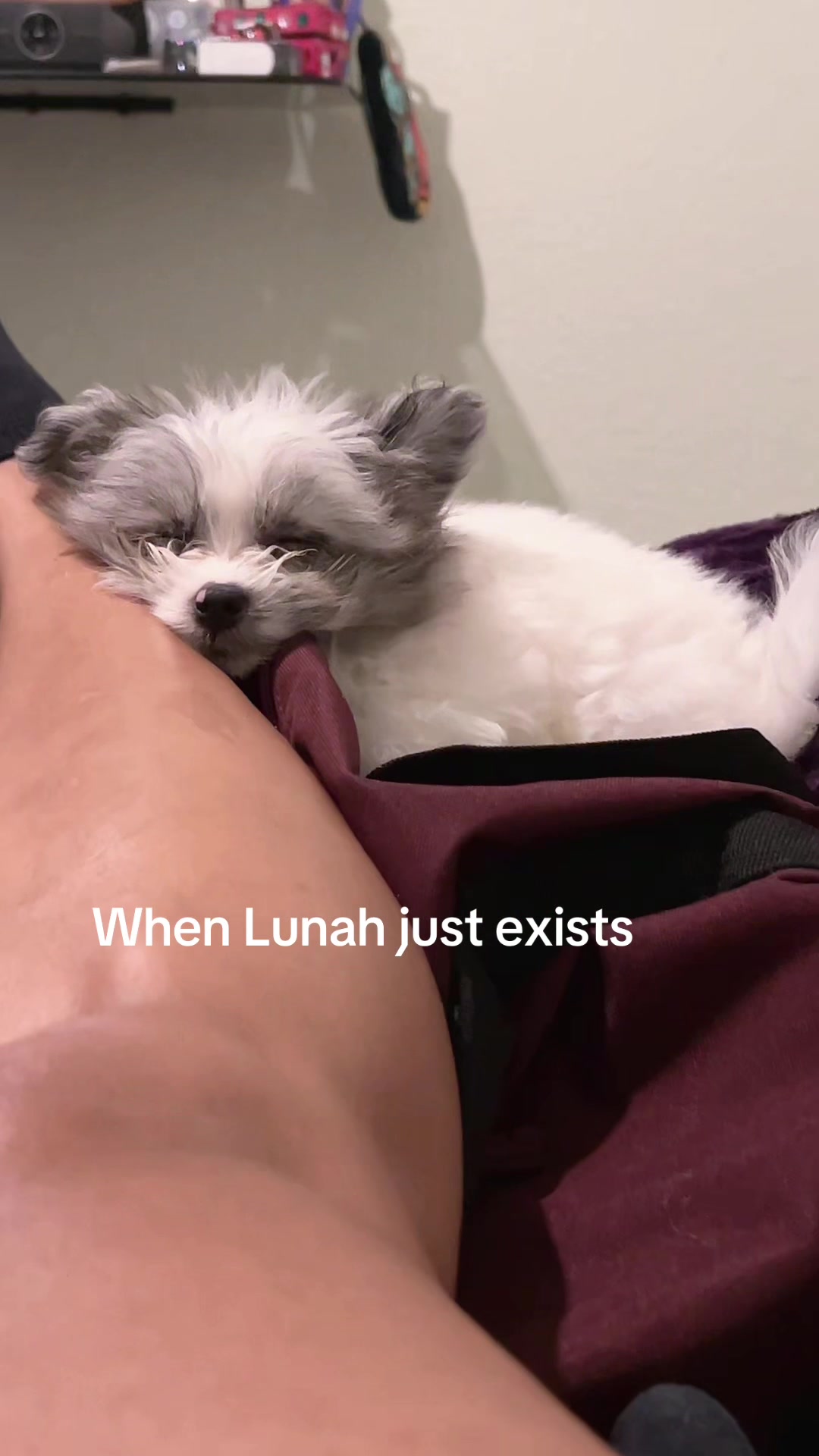 @LaNegra