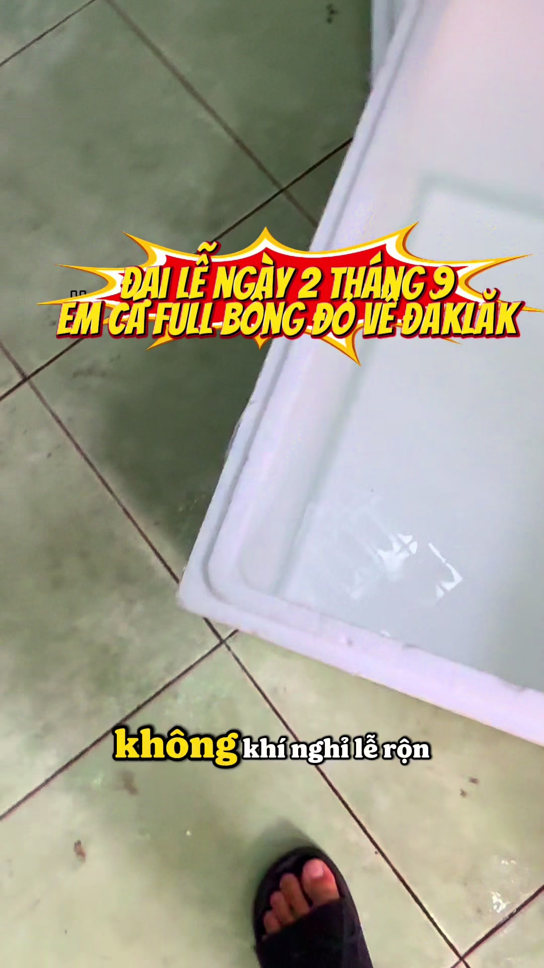 @Hoa Biển - Hải Tượng Long