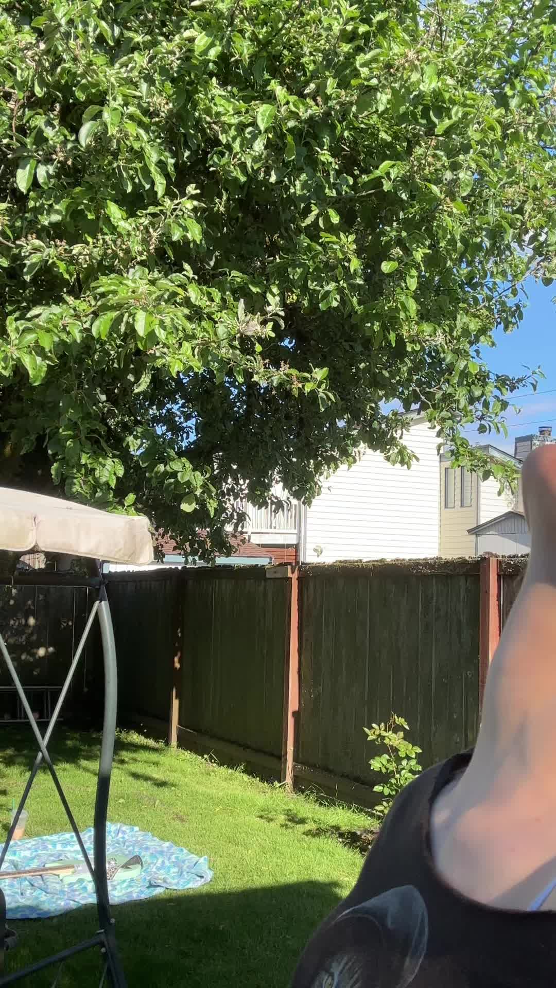 @lilybug