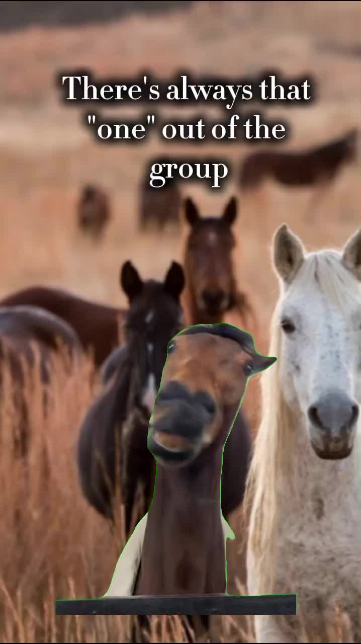 @JennJustCluckinAround