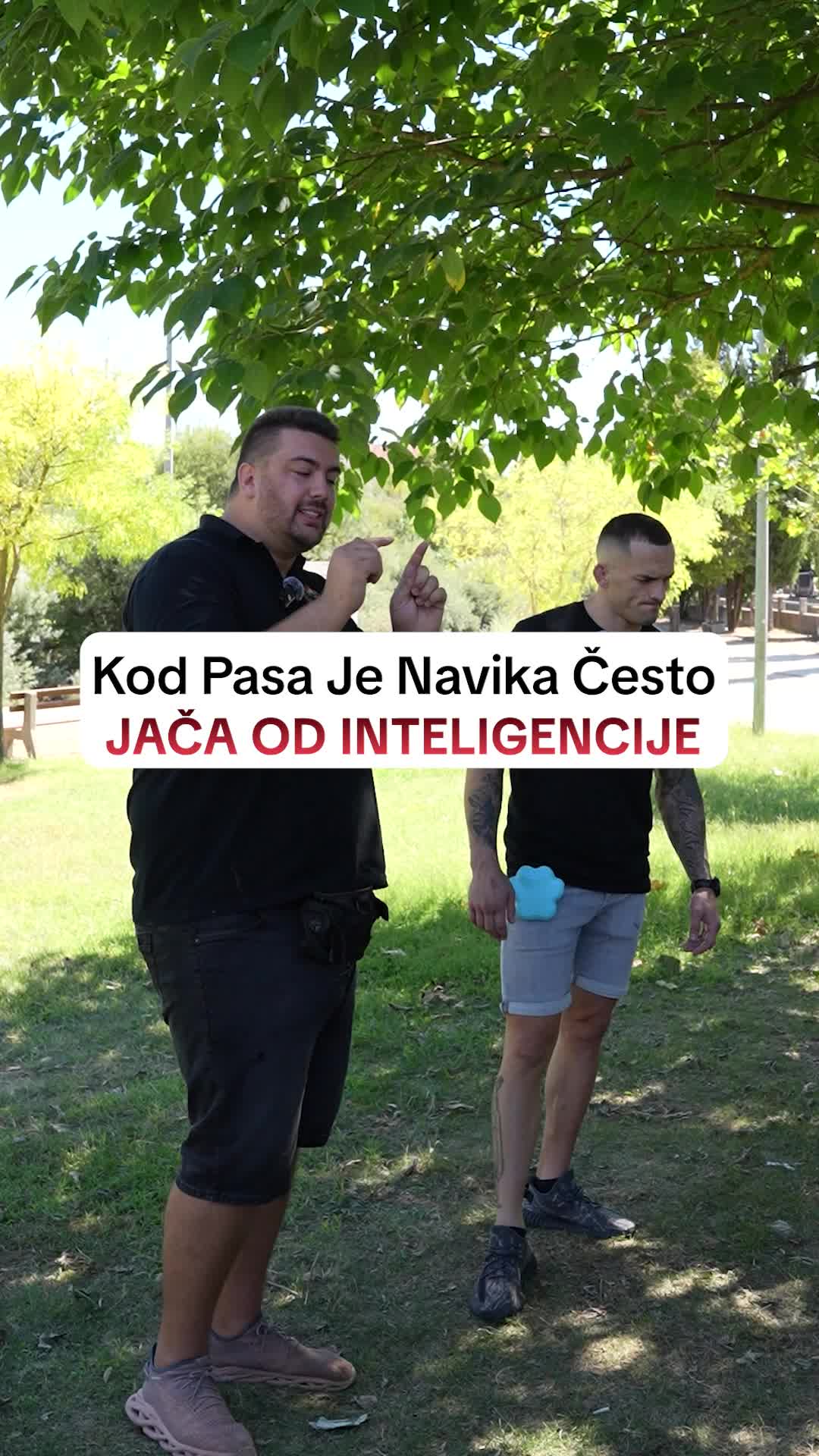 @superdog.akademija