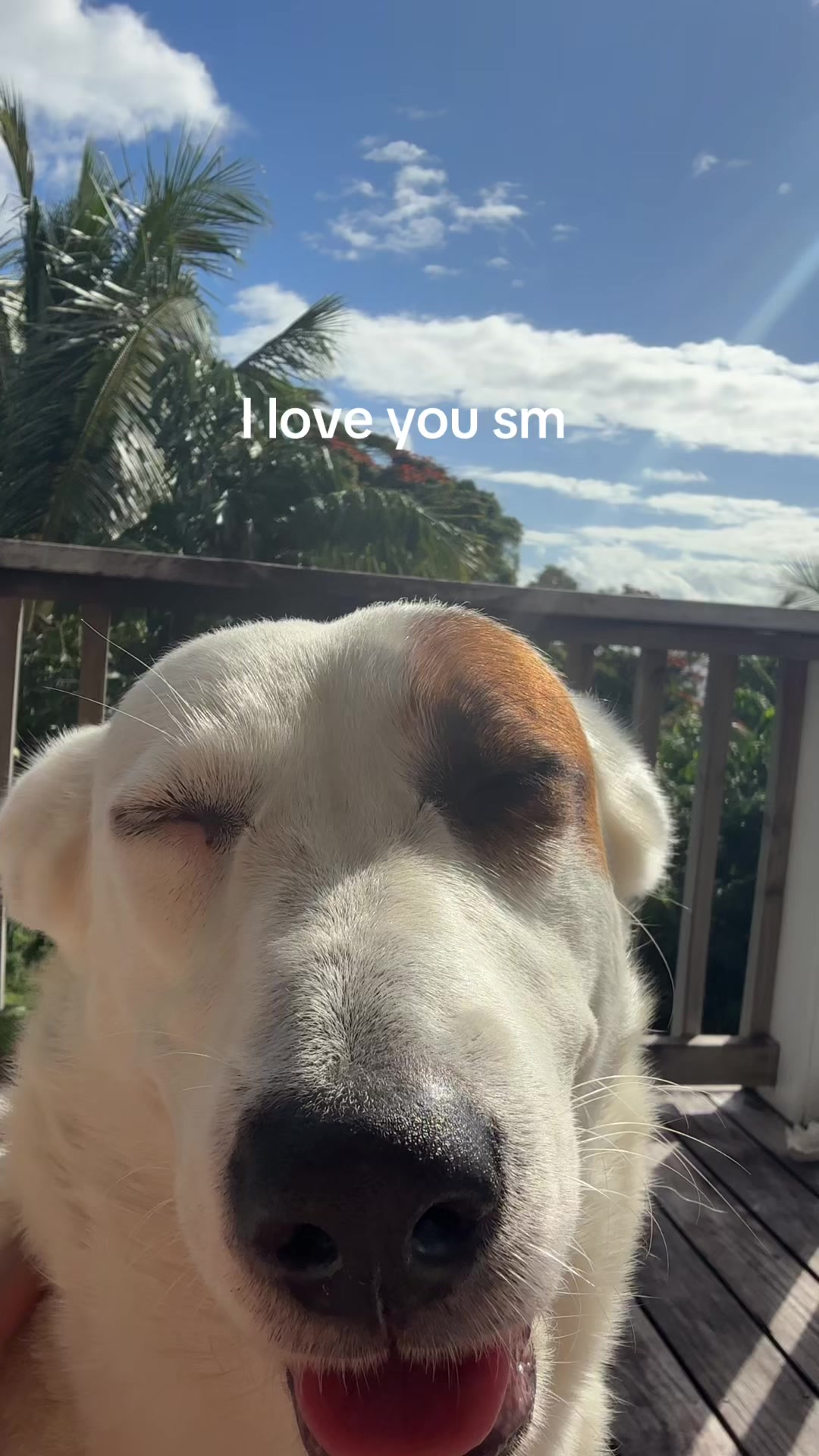 @Brenna Mae